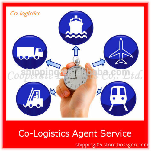 China shipping to Dushanbe/Tajikistan--Nisha
